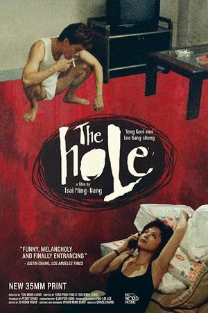 Poster: The Hole